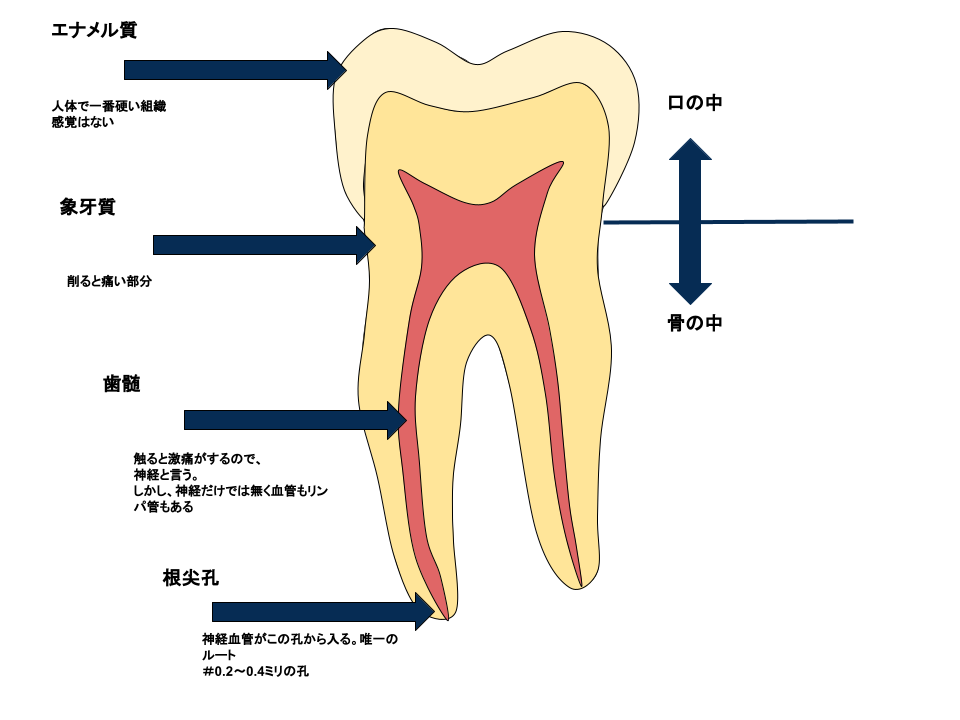見通しはどうですか?